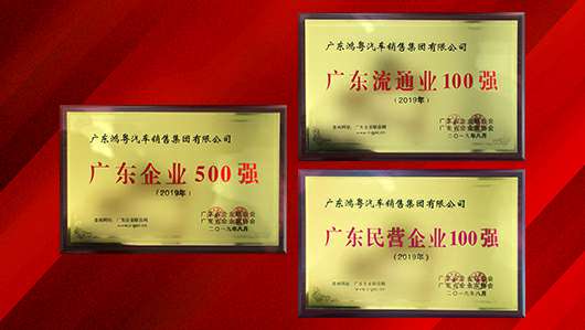 喜讯！云顶集团(中国区)官方网站上榜广东企业500强等三大榜单(图2)